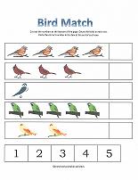 bird counting page